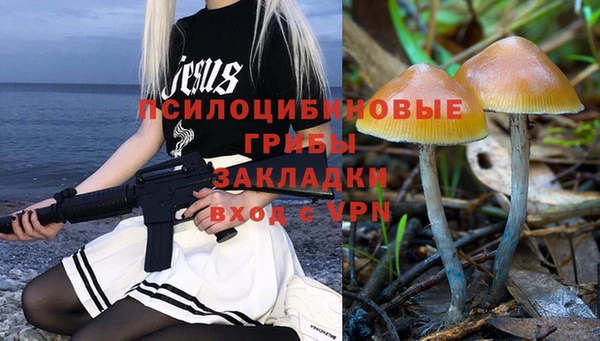 МДПВ Алексин