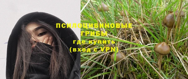дмт Алзамай