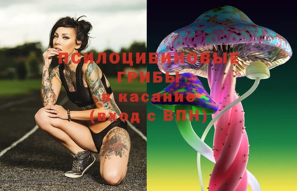 дмт Алзамай