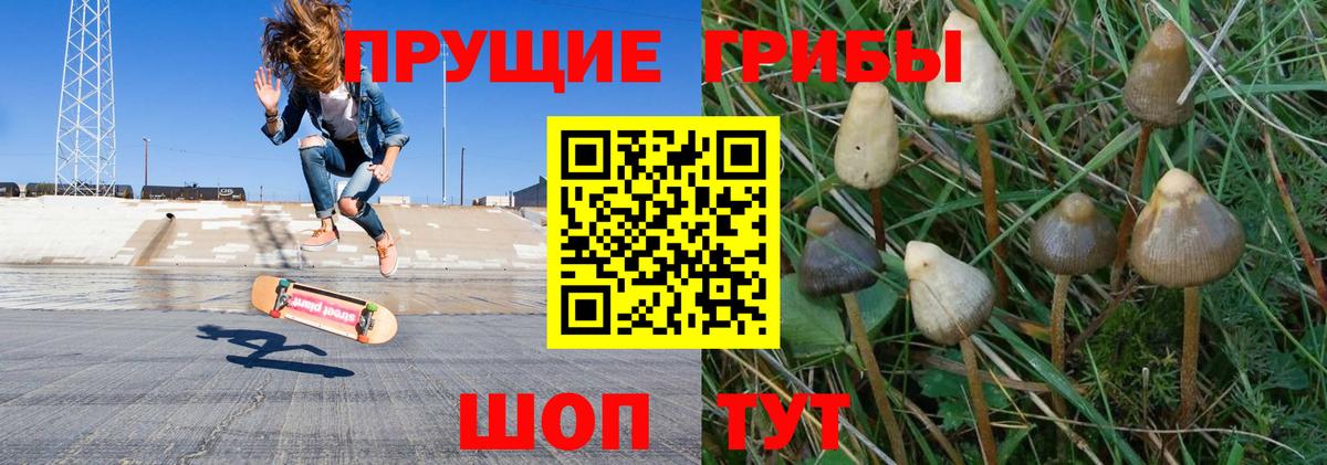 Галлюциногенные грибы Magic Shrooms Кемерово